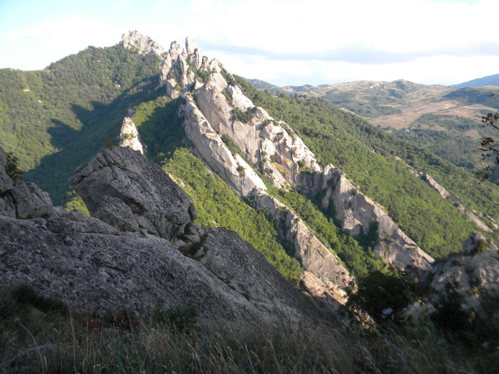 DSCN2718 .JPG
